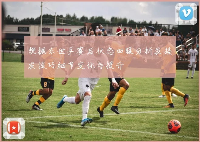 樊振东世乒赛后状态回暖分析发接发技巧细节变化与提升